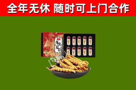 临澧回收冬虫夏草价格