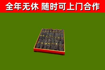 临澧回收海参